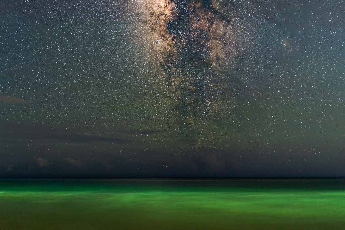 moonlight beach walk