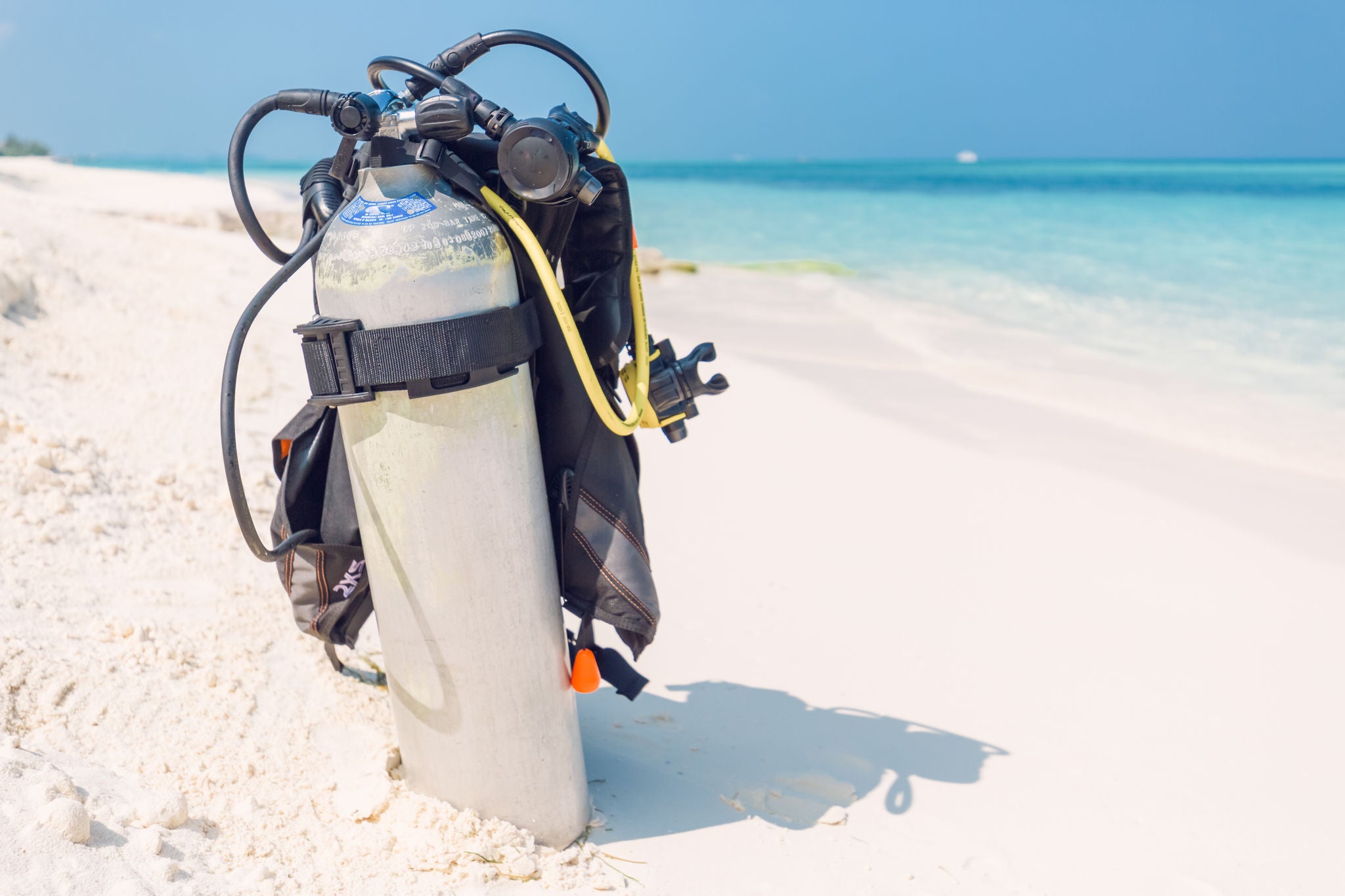 Rent SCUBA gear before arriving on your Grayton Beach vacation. 